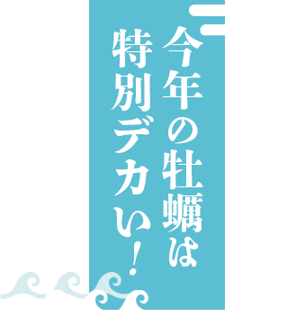 今年の牡蠣は特別デカい！