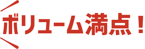 ボリューム満点！