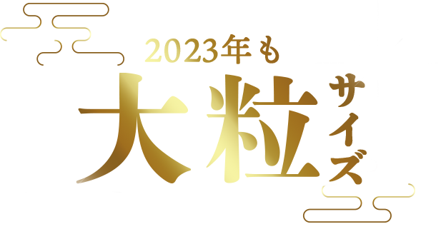 2023年も大粒サイズ